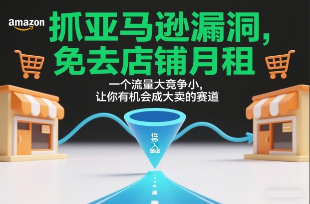 抓亚马逊漏洞,免去店铺月租,一个流量大竞争小,让你有机会成大卖的赛道-轻创终点站