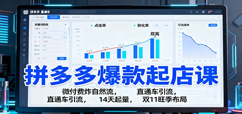 拼多多爆款起店课:微付费炸自然流,直通车引流,14天起量,双11旺季布局-飞叔云网创