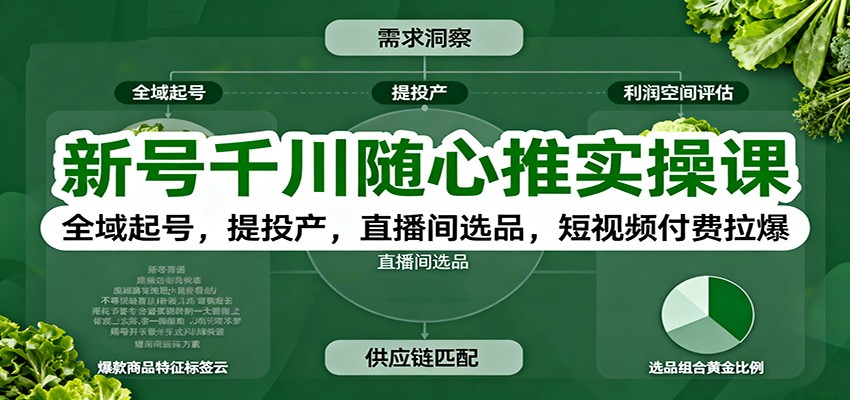 新号千川随心推实操课:全域起号,提投产,直播间选品,短视频付费拉爆-飞叔云网创