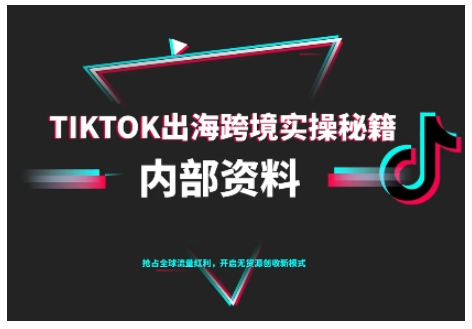 TikTok跨境电商0-1搭建运营,TK出海跨境实操秘籍(10月更新)-第一人副业终点站
