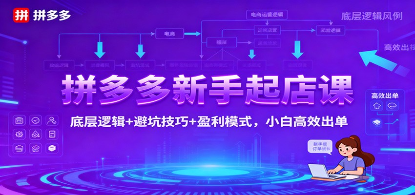 拼多多新手起店课:底层逻辑+避坑技巧+盈利模式,小白高效出单-小飞项目网