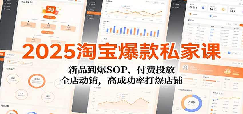 2025淘宝爆款私家课：新品到爆SOP，付费投放，全店动销，高成功率打爆店铺-511资料网