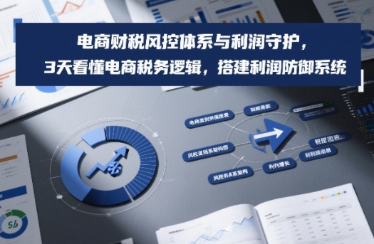 电商财税风控体系与利润守护，3天看懂电商税务逻辑，搭建利润防御系统-馬上搞钱