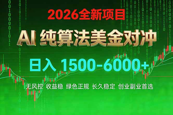 2026 全新美金对冲项目，不套平台赠金，不封号，纯算法对冲，日入 1500-6000+-安小熙网创平台