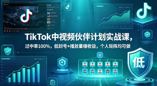 TikTok中视频伙伴计划实战课，过中率100%，低封号+播放量賺收益，个人矩阵均可做-安小熙网创平台