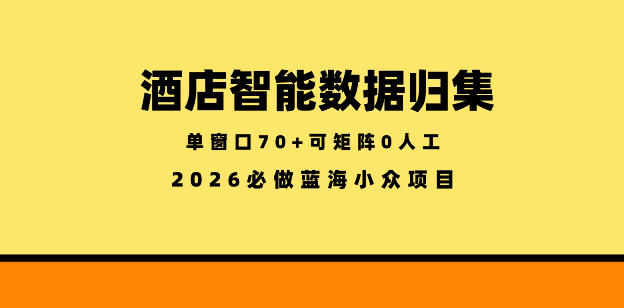 酒店智能数据归集，小众蓝海已经稳定半年之久，单窗口70+零成本矩阵开干【揭秘】-轻创终点站