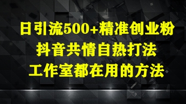 日引流500+精准创业粉，抖音共情自热打法，工作室都在用的方法|轻创终点站