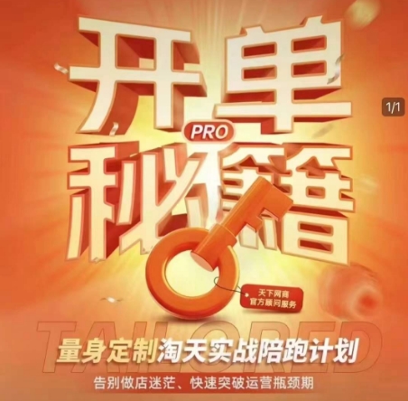 淘宝开单秘籍PRO，量身定制淘天实战陪跑计划，告别做店迷茫、快速突破运营瓶颈期(更新)-轻创终点站