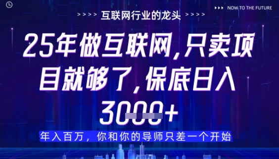 什么！25年你还在找项目做？风口早就变了，卖项目才是稳挣不赔【揭秘】-轻创终点站