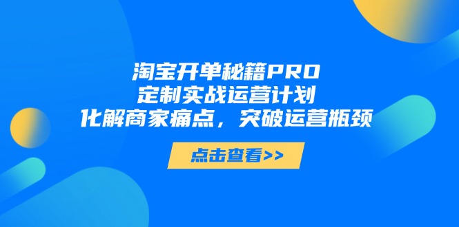淘宝开单秘籍PRO，定制实战运营计划，化解商家痛点，突破运营瓶颈-轻创终点站