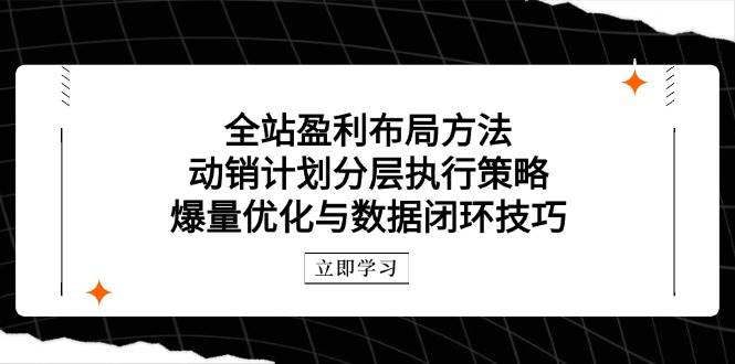 全站盈利布局方法：动销计划分层执行策略，爆量优化与数据闭环技巧-轻创终点站