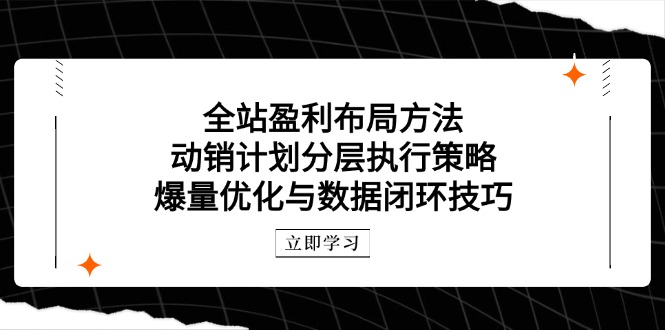 全站盈利布局方法：动销计划分层执行策略，爆量优化与数据闭环技巧-轻创终点站