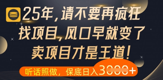 什么？25年你还在疯狂找项目做，醒醒吧，看完这些你全都懂了-网创星球