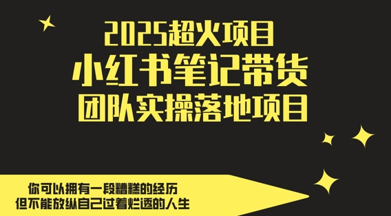 2025超火项目，副业最佳选择，小红书笔记带货团队实操落地项目，，轻松日入5张-网创星球