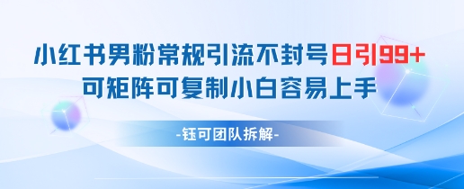 小红书男粉常规引流不封号日引99+变现简单 可矩阵可复制小白容易上手-网创星球