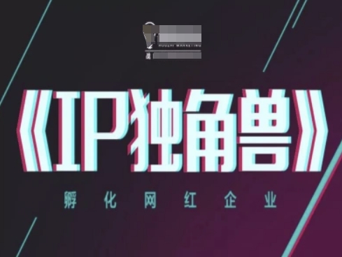 IP独角兽，孵化网红企业，ip教程-网创星球