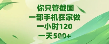 你只管截图，一部手机在家做，苹果安卓都可以，一天5张+-轻创终点站