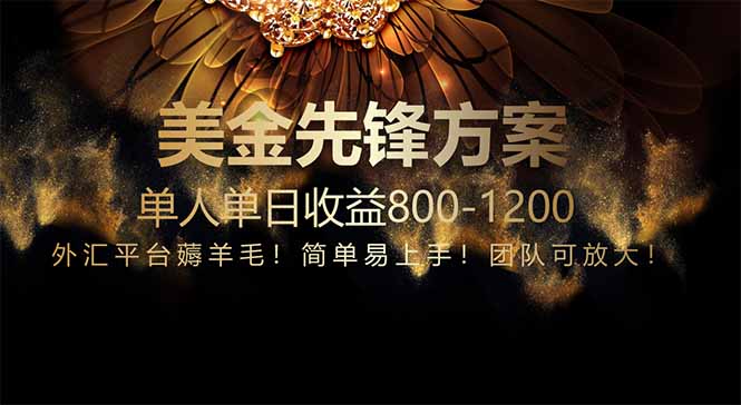 免费技术！小众赛道！一年布局抵三年努力，每日800+-网创星球