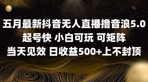 2025五月最新无人直播撸音浪单日产出5张+实操教程-轻创终点站