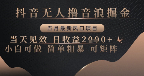 抖音无人撸音浪掘金，五月最新风口项目，当天见效，日收益多张，小白可做简单粗暴可矩阵-网创星球