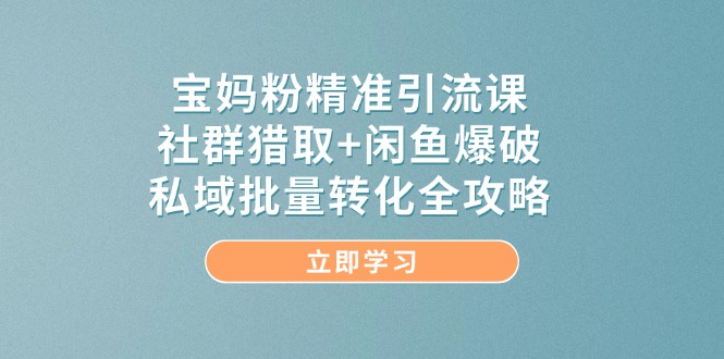 宝妈粉精准引流课，社群猎取+闲鱼爆破，私域批量转化全攻略-网创星球