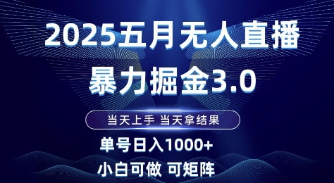 2025五月无人直播暴力掘金3.0，当天上手，当天拿结果，单号日入1k+小白可做可矩阵-网创星球