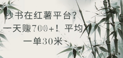 抄书在小红薯平台？平均一单30米，一天收益几张！-网创星球