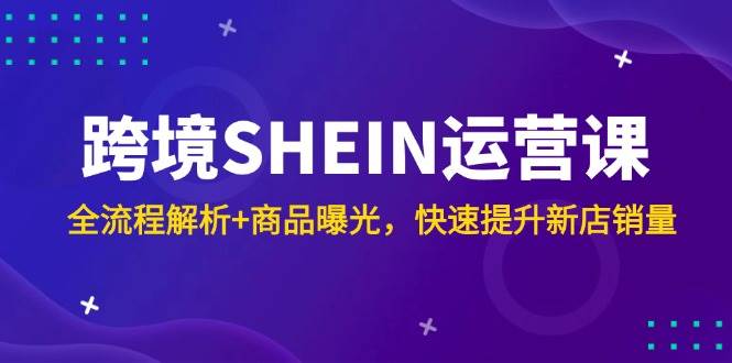跨境SHEIN运营课，全流程解析+商品曝光，快速提升新店销量-网创星球