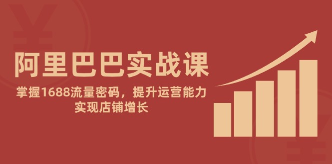 阿里巴巴实战课：掌握1688流量密码，提升运营能力，实现店铺增长-网创星球