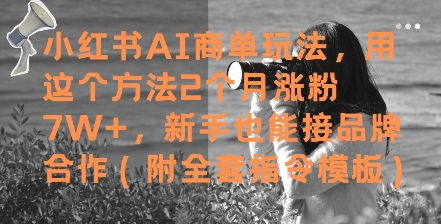 小红书AI商单玩法，用这个方法2个月涨粉7W+，新手也能接品牌合作(附全套指令模板)-星舰联盟
