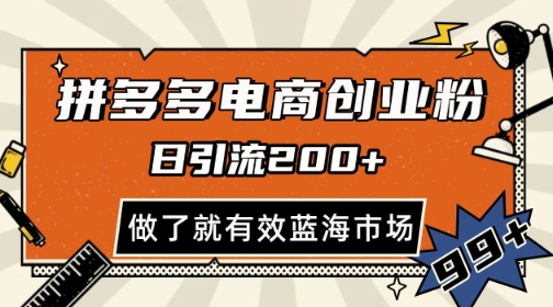 拼多多引流电商创业粉，日引200+，可矩阵放大，做了就有效-星舰联盟