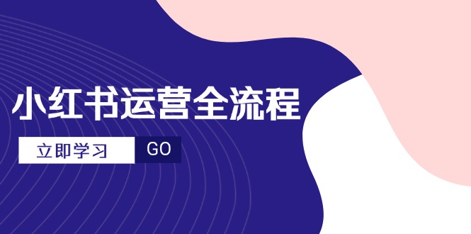 小红书运营全流程，爆款选题文案，视频制作技巧，进阶达人宝典-青年云网创—高质量项目商城
