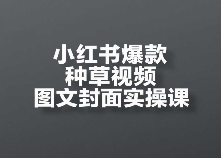 小红书爆款种草视频图文封面实操课，​开店、选品、引流、变现全流程-青年云网创—高质量项目商城