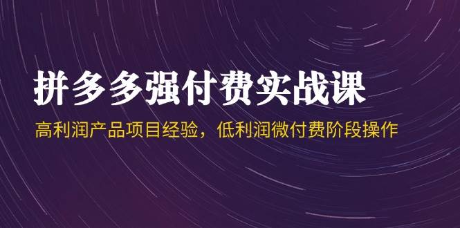 拼多多强付费实战课-44期，高利润产品项目经验，低利润微付费阶段操作-小飞项目网