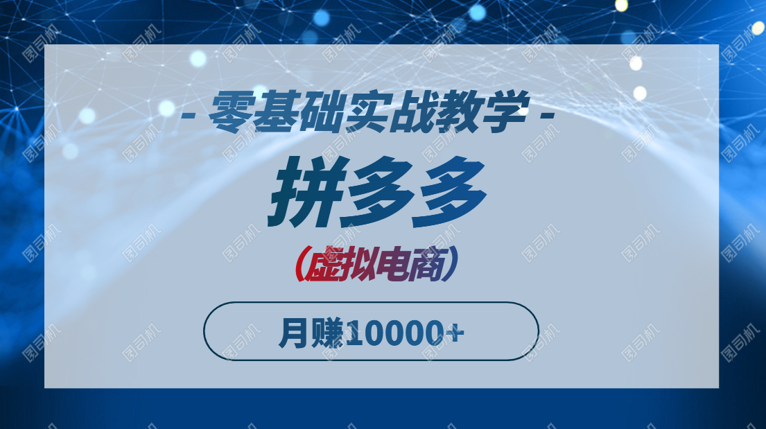 拼多多虚拟电商，零基础实战教学，快速打爆商品，新手也能月入10000+-小飞项目网