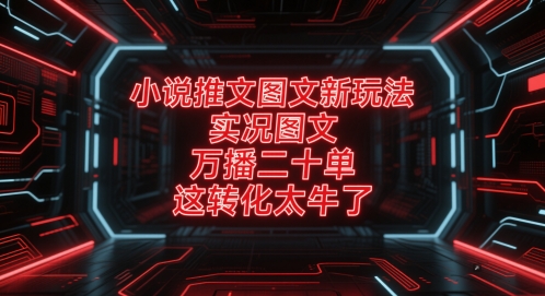 小说推文图文新玩法，实况图文，万播二十单，这转化太牛了！-小飞项目网