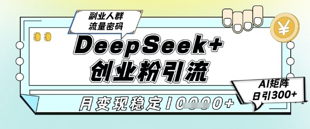 DeepSeek+创业粉精准引流，全新分享课4.0玩法，AI矩阵日引300+，多种变现方式，稳定月入1W-小飞项目网