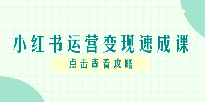 小红书运营变现速成课，账号搭建到暴力起号，个人IP全流程指南-青年云网创—高质量项目商城