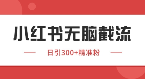 小红书截流同行客源，独家野路子获客玩法 日引200+暴力获客-青年云网创—高质量项目商城