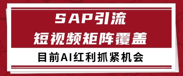 小红书某音sap赛道引流获客 自热矩阵日引200+-网创星球
