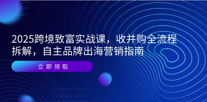 2025跨境致富实战课，收并购全流程拆解，自主品牌出海营销指南-网创星球