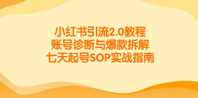 小红书引流2.0教程，账号诊断与爆款拆解，七天起号SOP实战指南-青年云网创—高质量项目商城