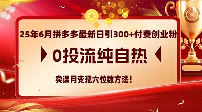 25年6月拼多多最新日引300+付费创业粉，0投流纯自热 卖课月变现六位数方法-青年云网创—高质量项目商城