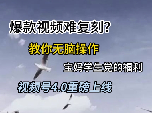 视频号4.0重磅上线，爆款视频难复刻？教你无脑操作宝妈学生党的福利-青年云网创—高质量项目商城