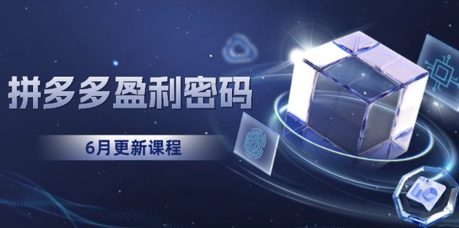 拼多多盈利密码：从烧钱推广到印钞模型，底层逻辑重构指南（6月更新）-青年云网创—高质量项目商城
