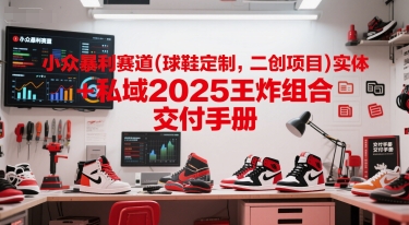 小众暴利赛道(球鞋定制，二创项目)实体+私域2025王炸组合  交付手册-星舰联盟