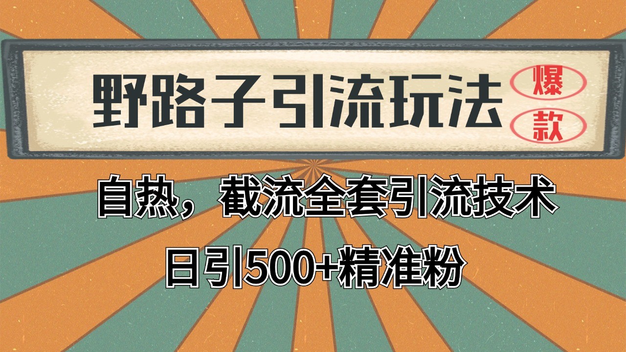 2024首发野路子引流玩法截流自热全平台打法，全自动引流【日引2000+精准客户】-网创星球