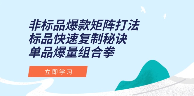 非标品爆款矩阵打法，标品快速复制秘诀，单品爆量组合拳-择笔创业网