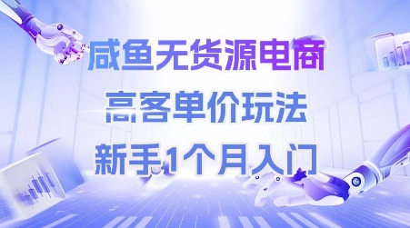 咸鱼无货源电商，高客单价玩法，新手1个月入门-星舰联盟