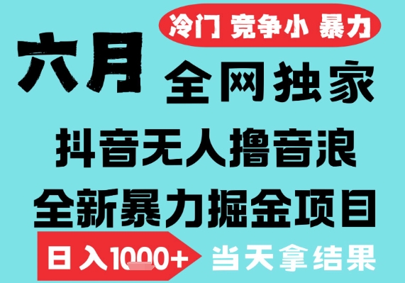 2025年6月高爆抖音无人直播最新撸音浪掘金项目，无脑日入1k+，低门槛小白可做，可矩阵放大-星舰联盟